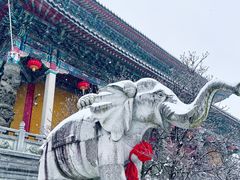 -九华山风景区