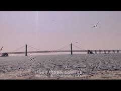 -星海广场