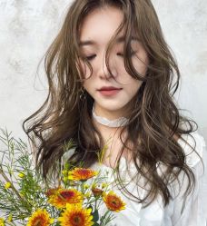 -IDOL-PLUS