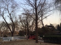 iphone_upload_pic-玲珑塔公园