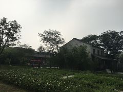 -田园东方蜜桃村的田野营地
