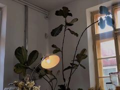 -春风十里咖啡馆