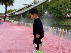 -苏州太湖西山岛开心农场
