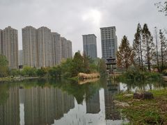-洋湖国家湿地公园