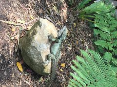 -可伦宾野生动物保护区