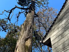 -终南山南五台景区