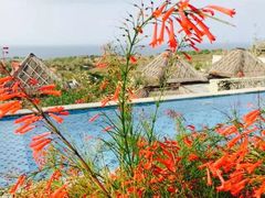 -巴厘岛乌鲁瓦图安纳塔拉度假酒店