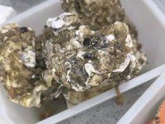 -仙螺岛海鲜自助餐厅(总店)