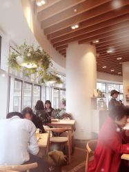 -悦诗风吟innisfree