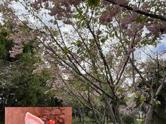 -东平国家森林公园
