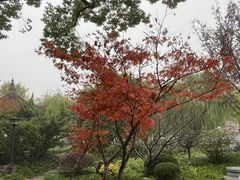 -亭林公园