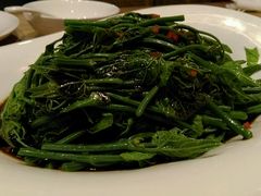 -马仕玖煲·融合菜·酥不腻烤鸭(人大店)