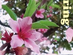 -长沙友阿奥特莱斯