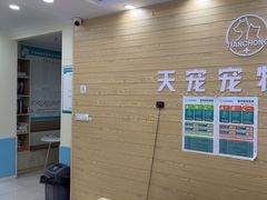 -天宠宠物医院24小时·急重症诊疗中心·全科·腔镜特色(和平分院)