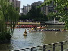 -苏州河梦清园环保主题公园