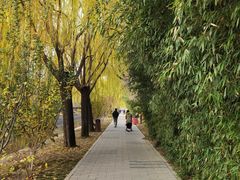 -元大都城垣遗址公园