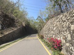 -小南山公园