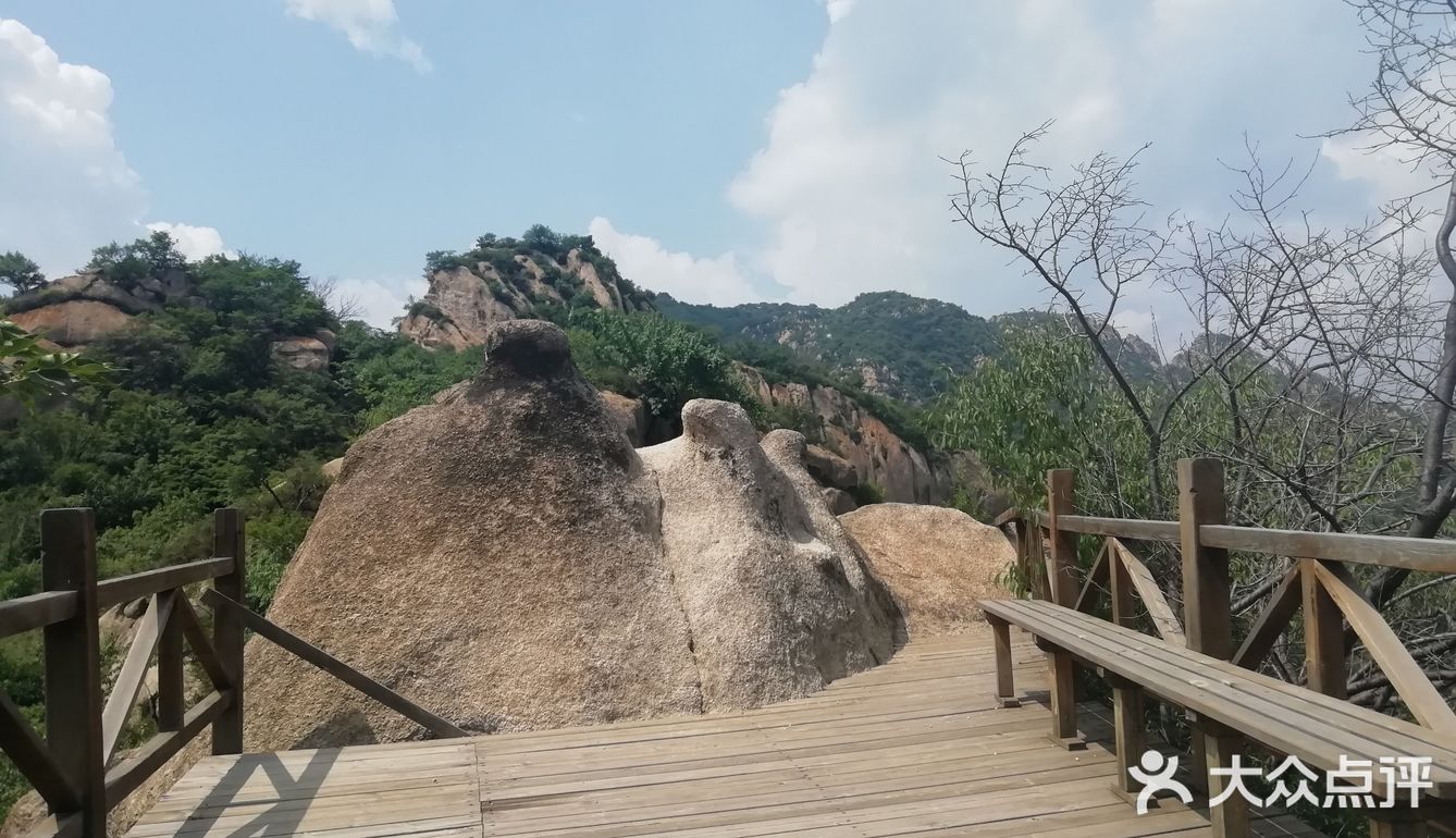 大岭沟猕猴桃谷