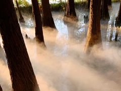 -东湖落雁景区