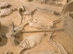 -洛阳周王城天子驾六博物馆