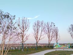 -大湾区中央湿地公园-十九涌