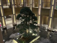 -外滩·云南人家(昆明旗舰店)