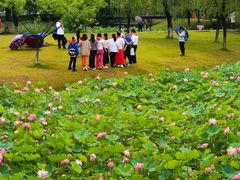 -沐仙湖湿地公园