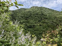 -香山公园