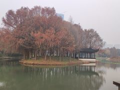 -巡塘古镇