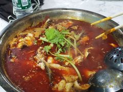 -重庆特色冷锅鱼(武大店)