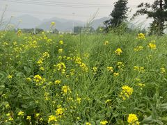 -狼牙山风景区