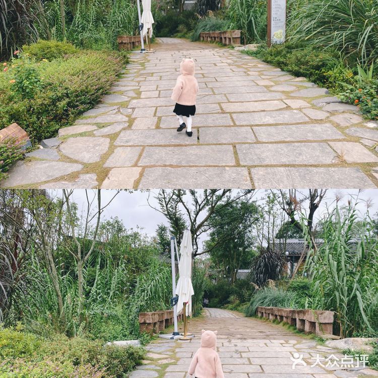 成都周边游｜官塘新村 文艺村落