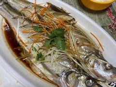 清蒸岛子鱼-掌勺人鱼馆(朝阳镇店)