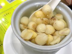 椰汁双皮奶-仁信老铺(华盖路店)