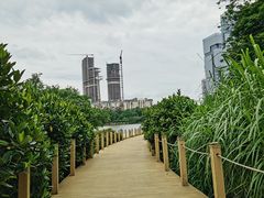 -华侨城湿地公园