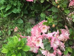 -木兰云雾山