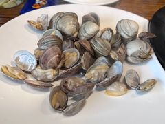 白蚬子-海味当家·蒸锅海鲜(星海公园店)