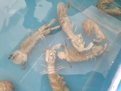 -四海鲜渔家菜(黄金海岸店)