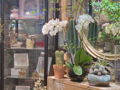 -循礼门鲜花花市(武汉循礼门店)