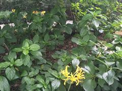 -杭州黄龙洞