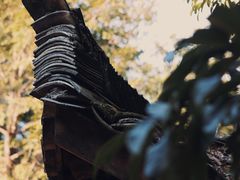 -杨家堂村