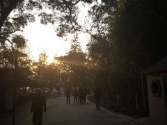 -攀枝花公园