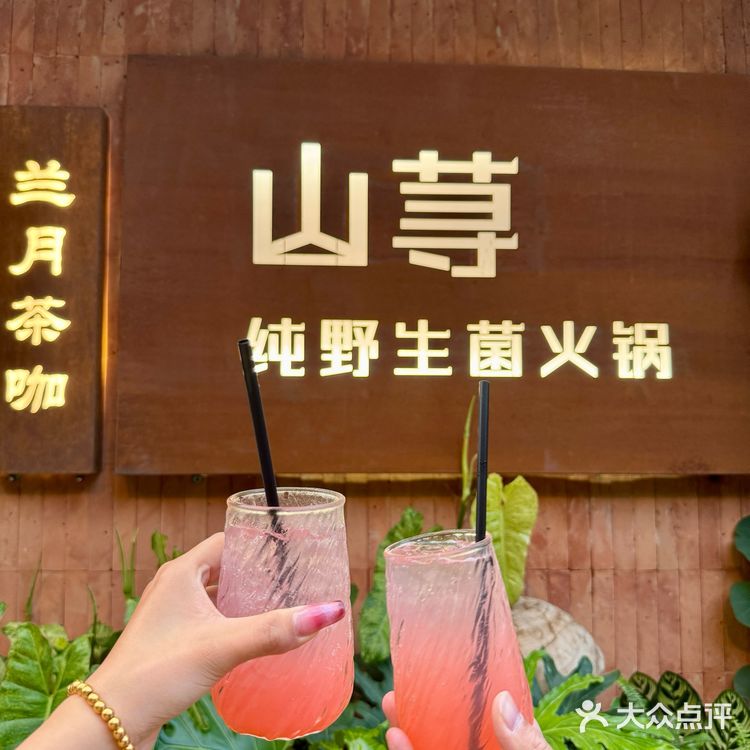 版纳纯野生菌火锅鲜到我想原地定居 谁懂啊