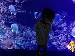-南昌融创海世界