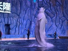 -珠海长隆海洋王国