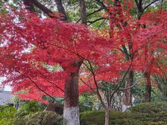 -杭州半山国家森林公园