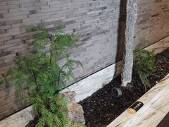 -小厨娘淮扬菜(六合欢乐港店)