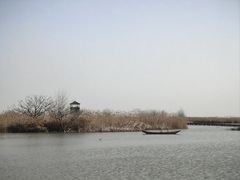 -盐城丹顶鹤湿地生态旅游区
