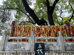 -大槐树寻根祭祖园
