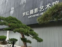 -罗红摄影艺术馆